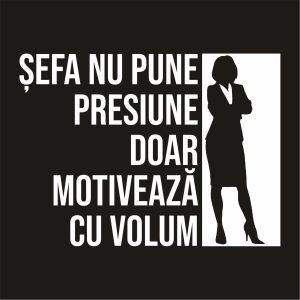 Imprimare Șefă #0163