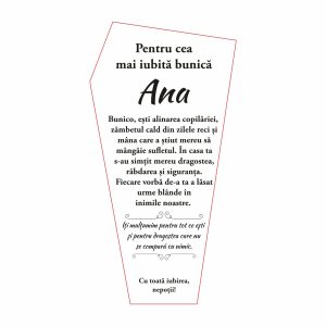 Trofeu Plexiglas Bunica #0731