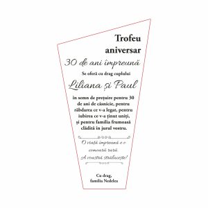 Trofeu Plexiglas Căsătorie #0648