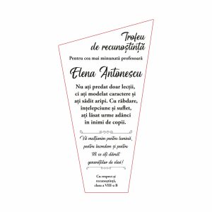 Trofeu Plexiglas Profesor #0779