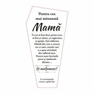 Trofeu Plexiglas Mama #0709