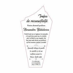 Trofeu Plexiglas Profesor #0777