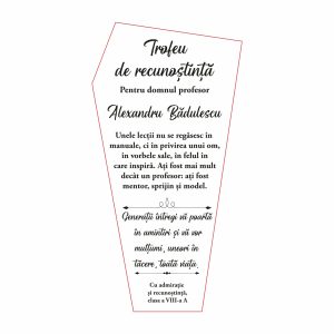Trofeu Plexiglas Profesor #0777