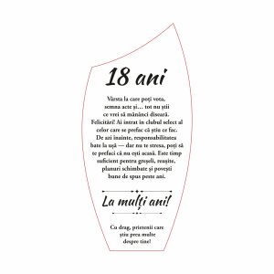 Trofeu Plexiglas Vârstă #0773