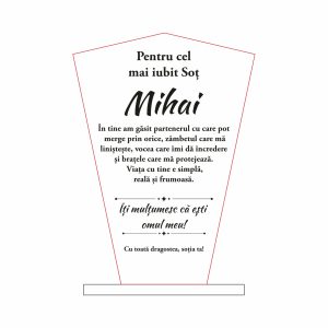 Trofeu Sticlă Soț #0724