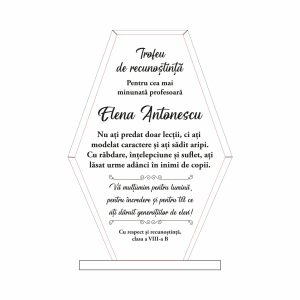 Trofeu Sticlă Profesor #0778
