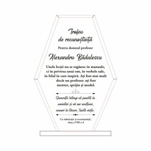 Trofeu Sticlă Profesor #0776