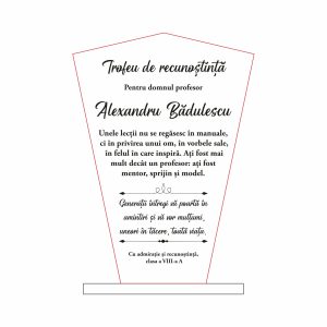 Trofeu Sticlă Profesor #0776